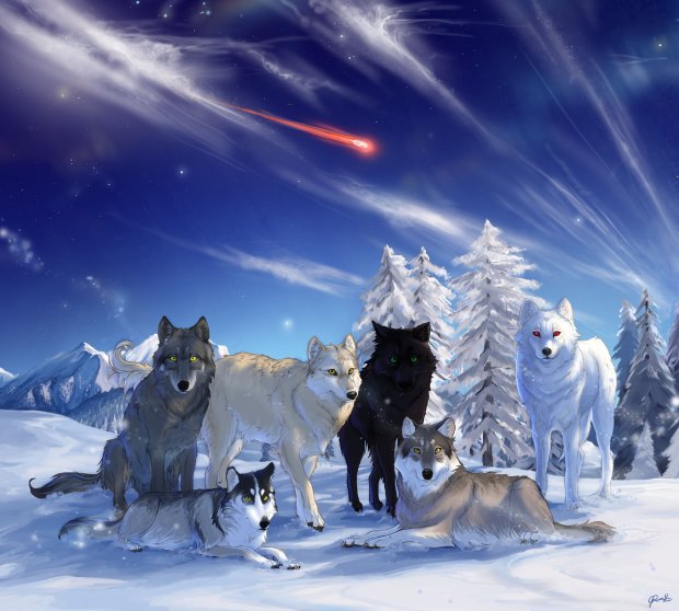 the_direwolves_of_westeros_by_jessyr-d5f3au7